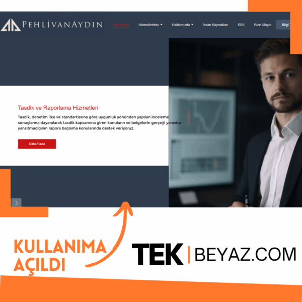 pehlivanaydin.com